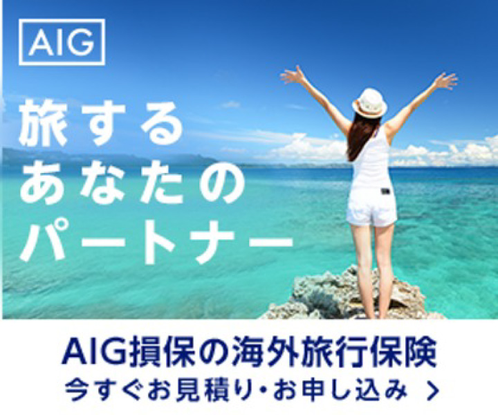 AIG損保の海外旅行保険