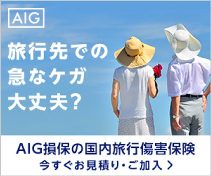 AIG損保の国内旅行傷害保険
