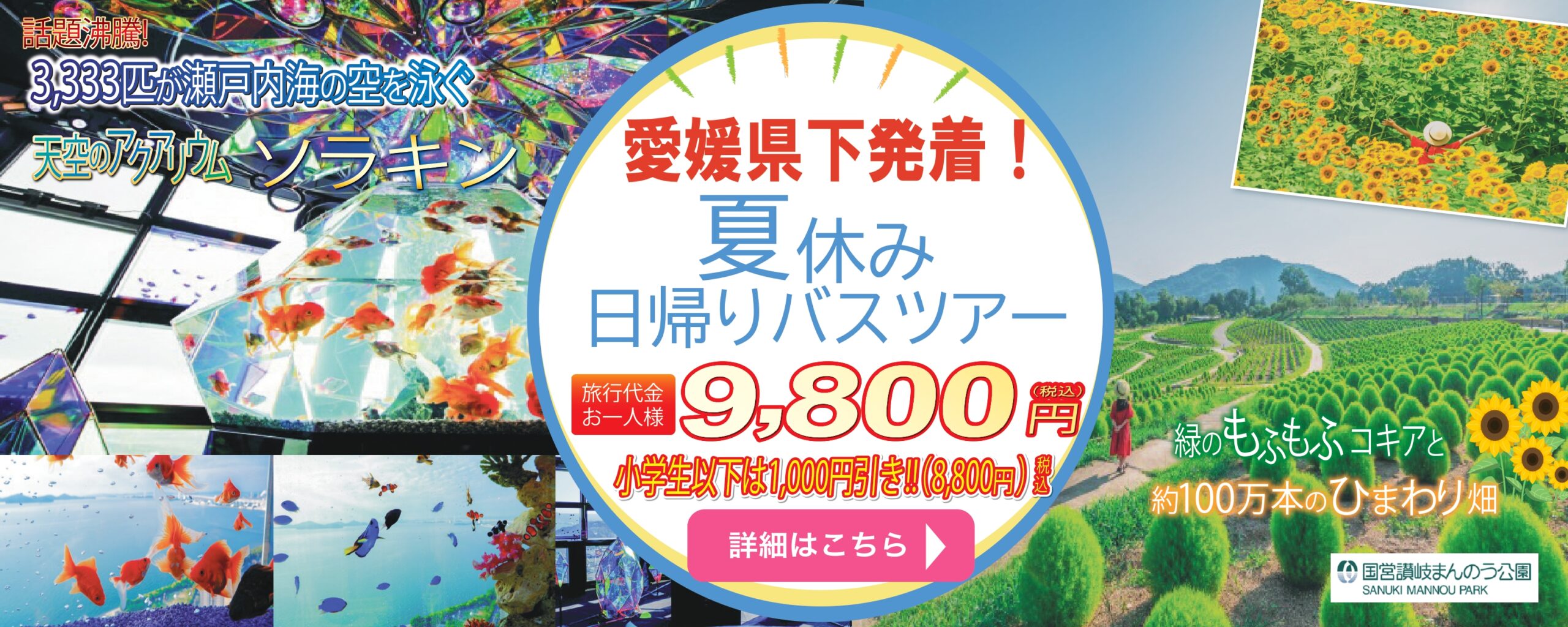 愛媛県発ツアー
