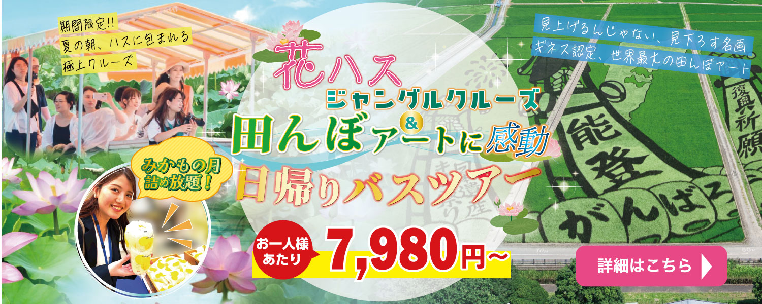 花ハスクルーズと田んぼアート