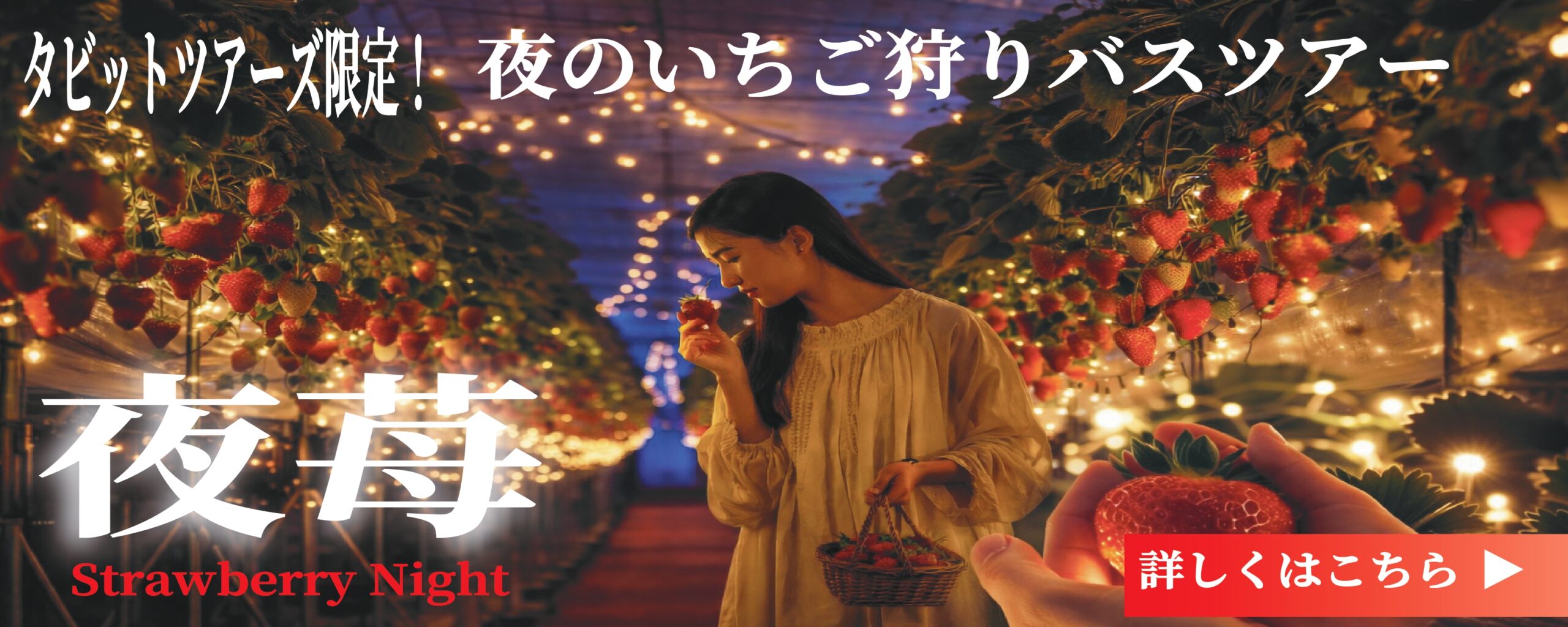 夜に楽しむいちご狩り